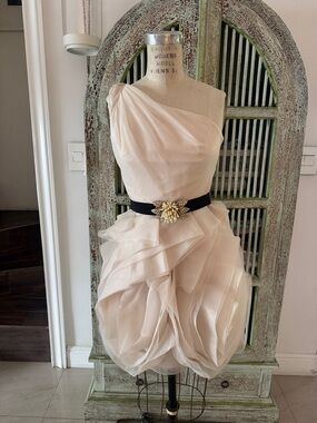 One-Shoulder Blush Party Dress